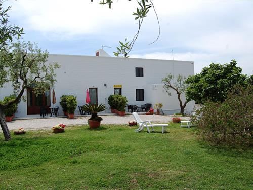 Feriehus / leilighet - 2 personer -  - masseria piccola - 72014 - Cisternino