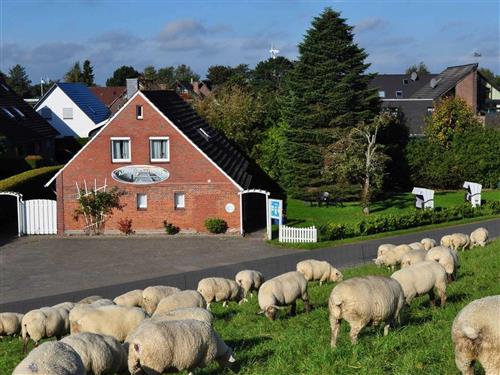 Ferienhaus - 4 Personen -  - Deichstraße - 26434 - Schillig