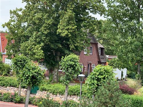 Ferienhaus - 4 Personen -  - Dorfstraße - 25826 - St. Peter-Ording