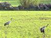 Bild 18 - Aussen
