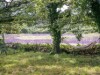 Image 16