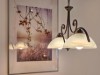 Bild 42
