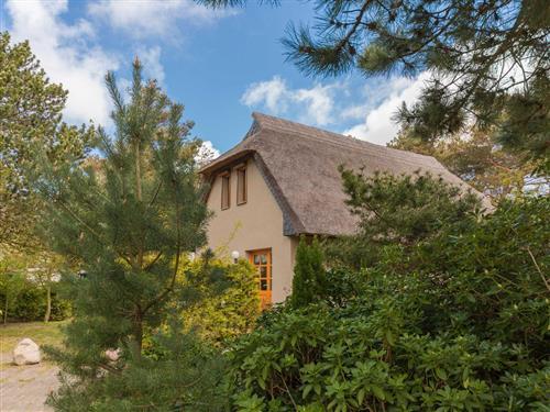 Ferienhaus - 4 Personen -  - 150 Meter zur Ostsee, Reetdach, Terrasse - 18347 - Wustrow