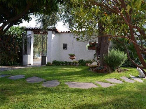 Ferieleilighet - 4 personer -  - Imperia - 18100