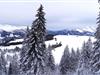 Bild 36