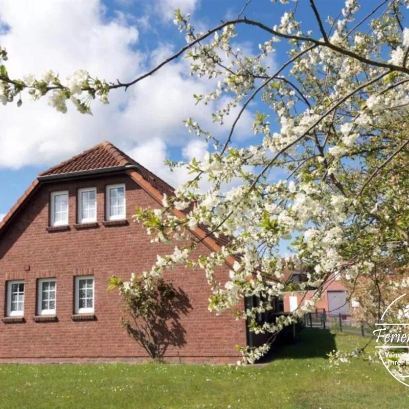 Sommerhus - 2 personer -  - Riedeweg - 26506 - Norddeich