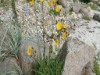 Bild 37 - Aussen