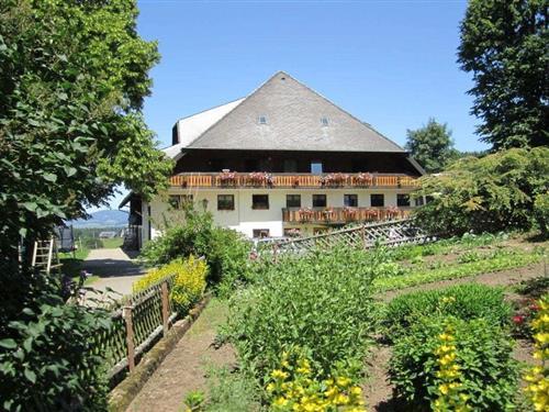 Sommerhus - 5 personer -  - 79274 - St.Märgen