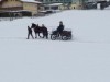 Bild 52