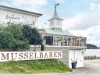 Billede 6 - Aktivitet