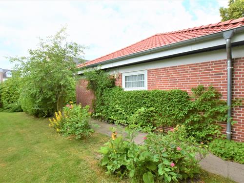 Ferieleilighet - 2 personer -  - Heisterbusch - 23746 - Kellenhusen