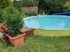 Bild 12