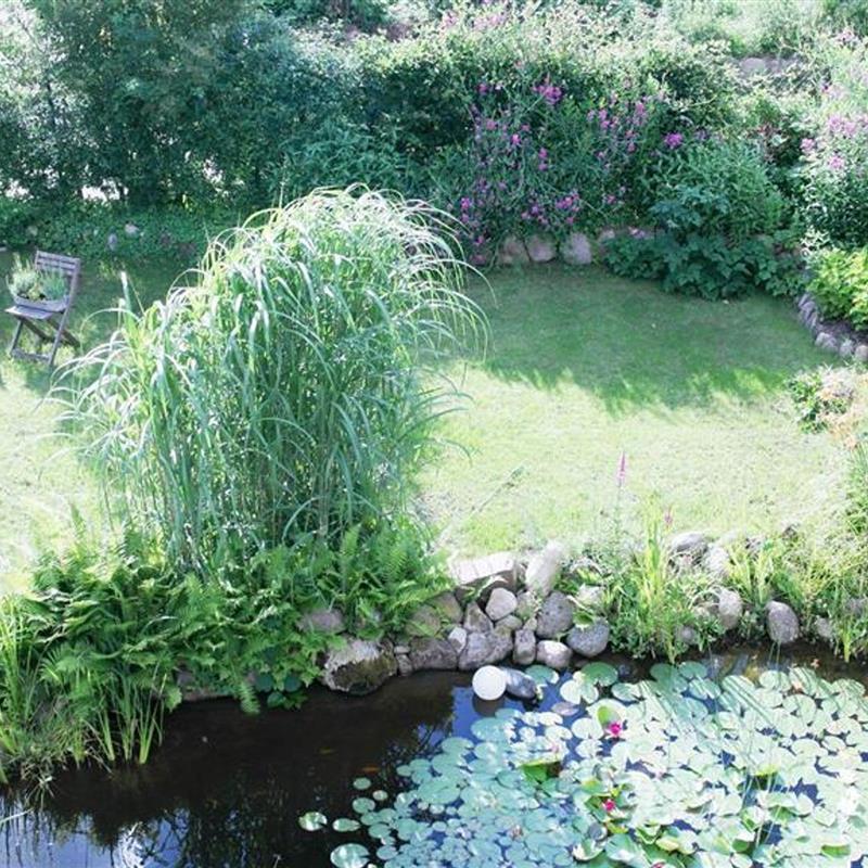 Ferielejlighed - 5 personer -  - Mühlenkampsredder 3 b - 24220 - Flintbek