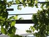 Bild 21 - Aussen