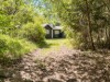 Billede 19