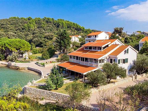 Semesterlägenhet - 4 personer -  - Kampor - Rab-Kampor - 51280 - Kampor