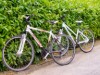 Billede 53