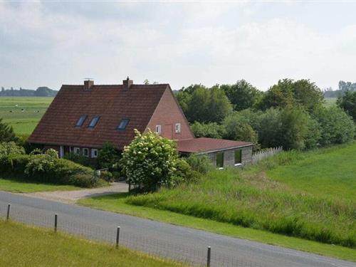 Holiday Home/Apartment - 10 persons -  - 26969 - Butjadingen-Burhave