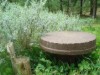 Bild 17