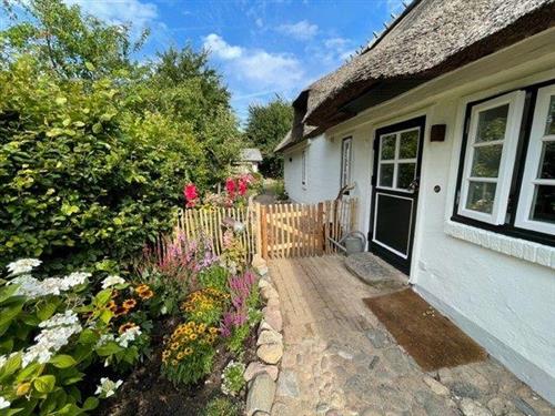 Sommerhus - 4 personer -  - Stoltebüllheck - 24409 - Stoltebüll