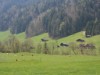 Bilde 10 - Ude