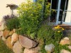 Bild 15