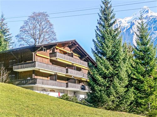 Ferienhaus - 5 Personen -  - Grindelwald - 3818