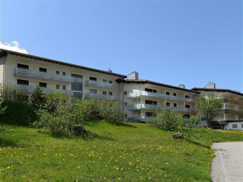 Ferienhaus - 4 Personen -  - Fadail - 7078 - Lenzerheide