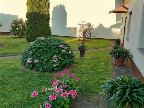 Ferielejlighed - 2 personer -  - Hauptstr. - 17419 - Korswandt