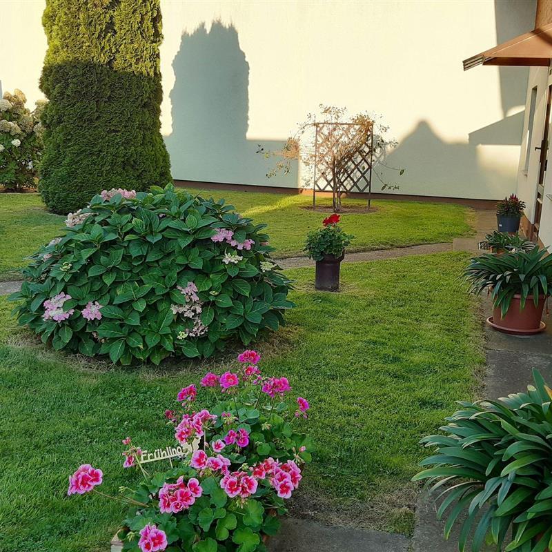 Ferielejlighed - 2 personer -  - Hauptstr. - 17419 - Korswandt