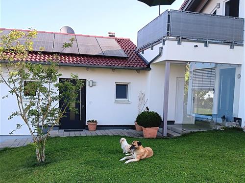 Ferielejlighed - 2 personer -  - Dekan-Schmölz-Straße - 86971 - Peiting