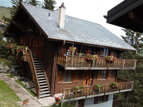 Sommerhus - 4 personer -  - Bettmeralp - 3992