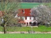 Bilde 11