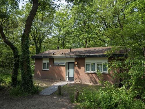 Semesterhus/Semesterlägenhet - 8 personer -  - Voorthuizerstraat - 3881 SE - Putten