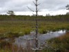 Image 15 - Activity