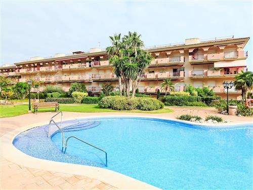 Holiday apartment - 4 persons -  - St Carles De La Ràpita - 43540