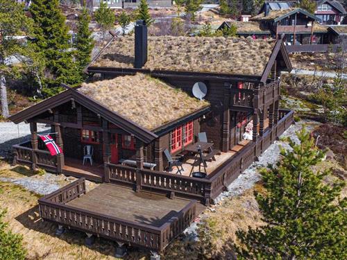 Holiday home - 8 persons -  - Sylvtjønn - Kyrkjebygdheia - 3854 - Nissedal