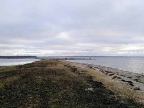Sommerhus - 8 personer -  - Ternevej - Følle Strand - 8410 - Rønde