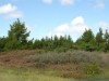 Bild 13 - Område