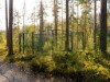 Bilde 33 - Inne