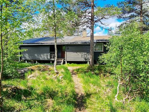 Semesterhus/Semesterlägenhet - 10 personer -  - Panoramaveien - Bortelid - 4540 - Åseral