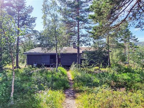  - 8 persons -  - Panoramavegen - Bortelid - 4540 - Åseral