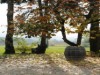 Bild 22