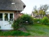 Bilde 5