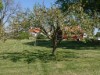 Bild 32 - Ude