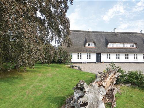 Sommerhus - 6 personer -  - Skovbøllingvej - Christiansfeld - 6100 - Haderslev