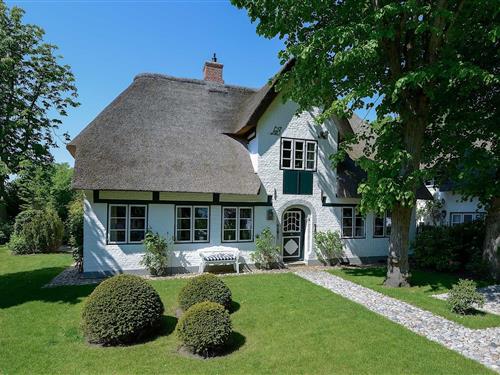 Feriehus - 5 personer -  - Strandstrasse - 25938 - Nieblum