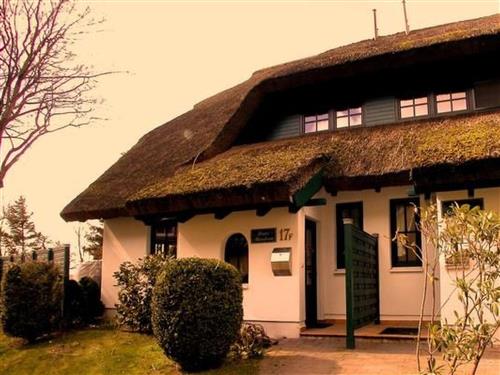 Sommerhus - 8 personer -  - Baabe - 18586