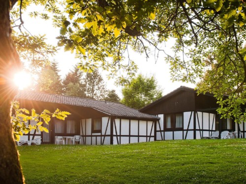 Sommerhus - 5 personer -  - Im Grafenwald - 54550 - Daun