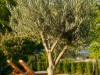 Bild 23
